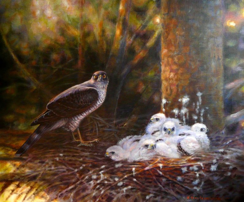 On the nest